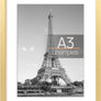 upsimples A3 Picture Frame, Display Pictures 8.3x11.7 with Mat or 11.7x16.5 Without Mat, Wall Hanging Photo Frame, Gold, 1 Pack