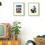 upsimples 8x10 Picture Frame, Display Pictures 5x7 with Mat or 8x10 Without Mat, Wall Hanging Photo Frame, Green, 1 Pack
