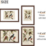 upsimples 8x12 Picture Frame, Display Pictures 6x8 with Mat or 8x12 Without Mat, Wall Hanging Photo Frame, Brown, 1 Pack