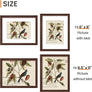 upsimples 8.5x11 Picture Frame, Display Pictures 6x8 with Mat or 8.5x11 Without Mat, Wall Hanging Photo Frame, Brown, 1 Pack