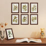 upsimples 5x7 Picture Frame Set of 10, Display Pictures 4x6 with Mat or 5x7 Without Mat, Multi Photo Frames Collage for Wall or Tabletop Display, Real Glass, Brown