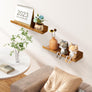 upsimples Wood Grain Acrylic Shelves for Wall Storage, 15" Acrylic Floating Shelves Wall Mounted, Kids Bookshelf, Display Ledge Wall Shelves for Bedroom, Living Room, Bathroom, Kitchen, Set of 4