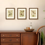 upsimples 8.5x11 Picture Frame, Display Pictures 6x8 with Mat or 8.5x11 Without Mat, Wall Hanging Photo Frame, Brown, 1 Pack