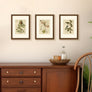 upsimples 9x12 Picture Frame, Display Pictures 6x8 with Mat or 9x12 Without Mat, Wall Hanging Photo Frame, Brown, 1 Pack