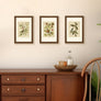 upsimples 8x12 Picture Frame, Display Pictures 6x8 with Mat or 8x12 Without Mat, Wall Hanging Photo Frame, Brown, 1 Pack