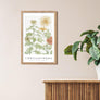 upsimples 11x17 Picture Frame, Wall Gallery Photo Frames with Engineered Wood, Rustic Brown 1 Pack