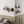 upsimples Floating Shelves for Wall Decor Storage, Natural Bookshelf with Black Bracket Set of 5, Sturdy Wall Shelves Hanging for Bedroom, Bathroom, Living Room, Kitchen, Office, Corner