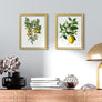 upsimples 8.5 By 11 Picture Frame, Wall Gallery Photo Frames with Engineered Wood, Gold 1 Pack