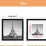 upsimples 8x8 Picture Frame, Display Pictures 4x4 with Mat or 8x8 Without Mat, Wall Hanging Photo Frame, Black, 1 Pack
