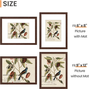 upsimples 9x12 Picture Frame Set of 3, Made of High Definition Glass for 6x8 with Mat or 9x12 Without Mat, Wall and Tabletop Display Photo Frames, Brown