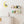 upsimples 2 Pack 23.6x5.5 Inches Acrylic Shelves for Wall Storage, Floating Bookshelves for Kids, Display Shelf Organizer for Bathroom, Bedroom, Living Room, Kitchen, Clear